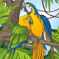 �������